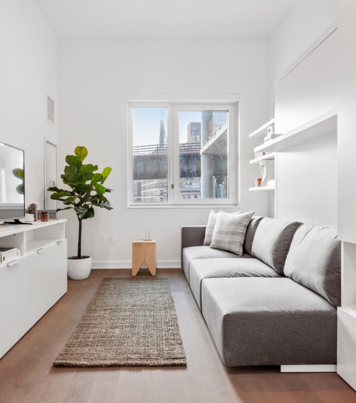A studio apartment with plant and couch