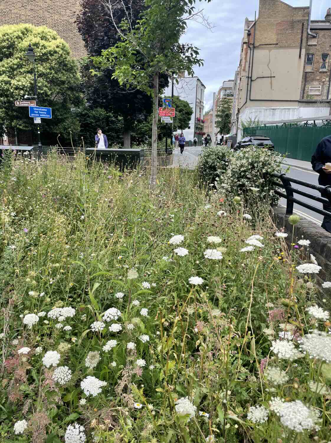 Newcomen Street Estate Gardens 