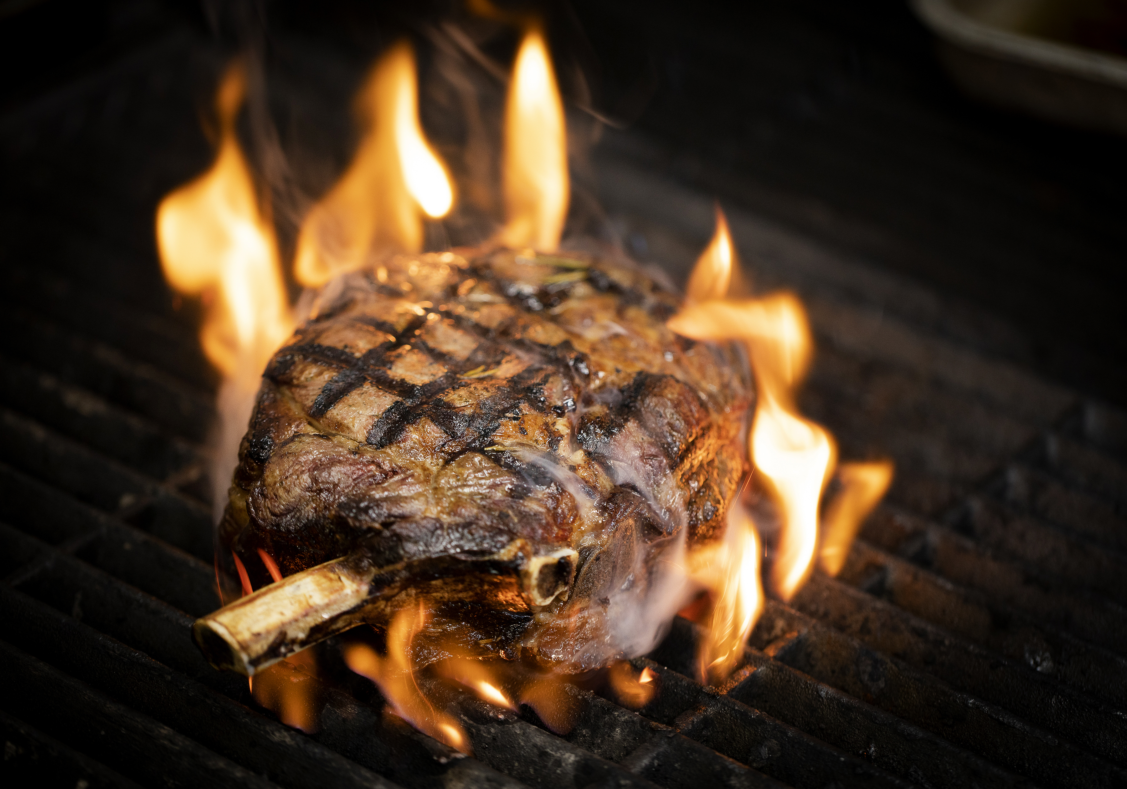 Club Carnivore at Vivat Bacchus