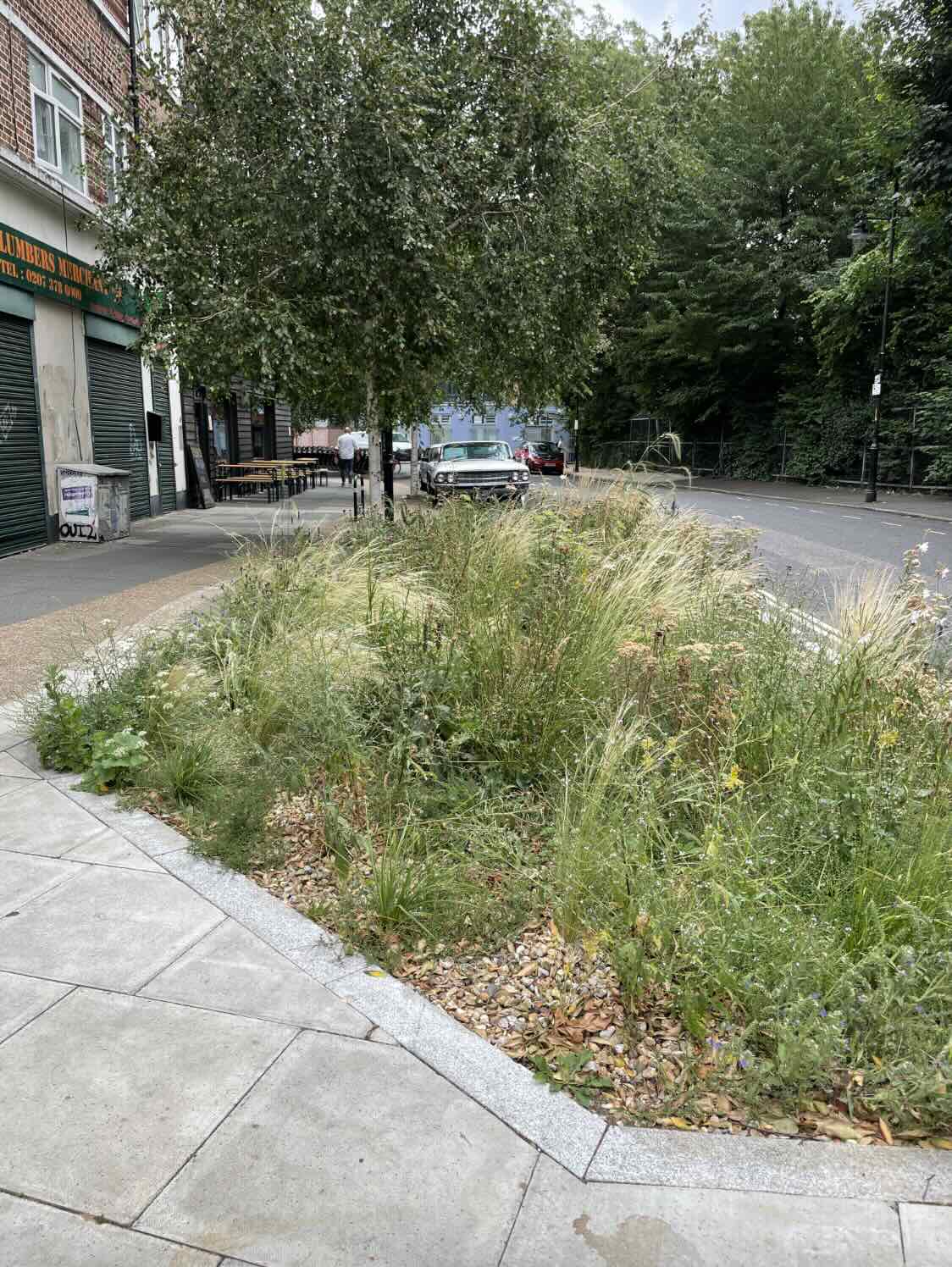 Snowsfields and Melior Street Raingardens