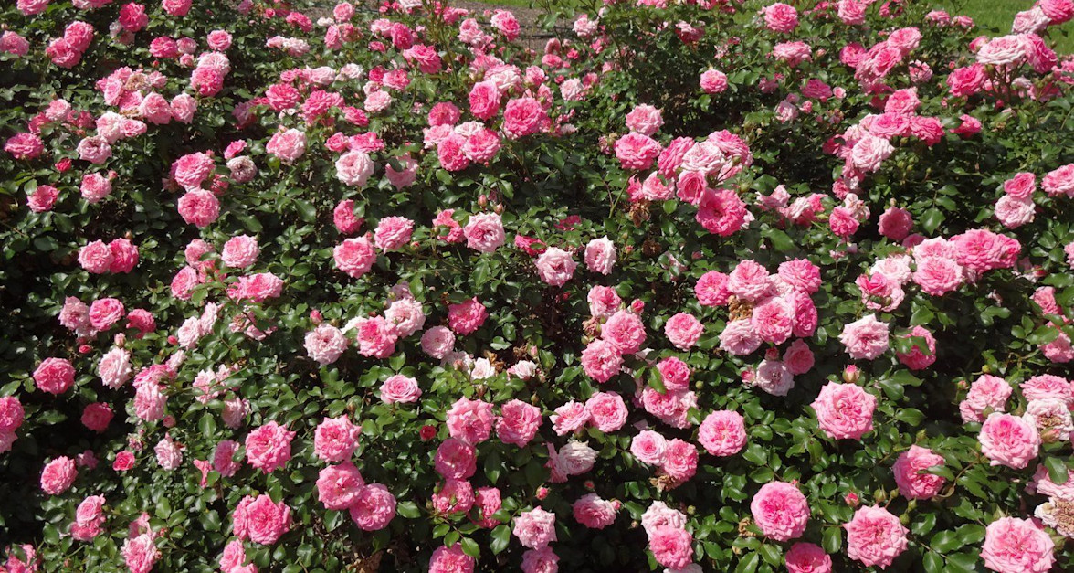 At London Bridge | Leathermarket Gardens