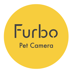 From Social Ads to Amazon Sales: How Furbo Increased Measurable Conversions 300% During Prime Day