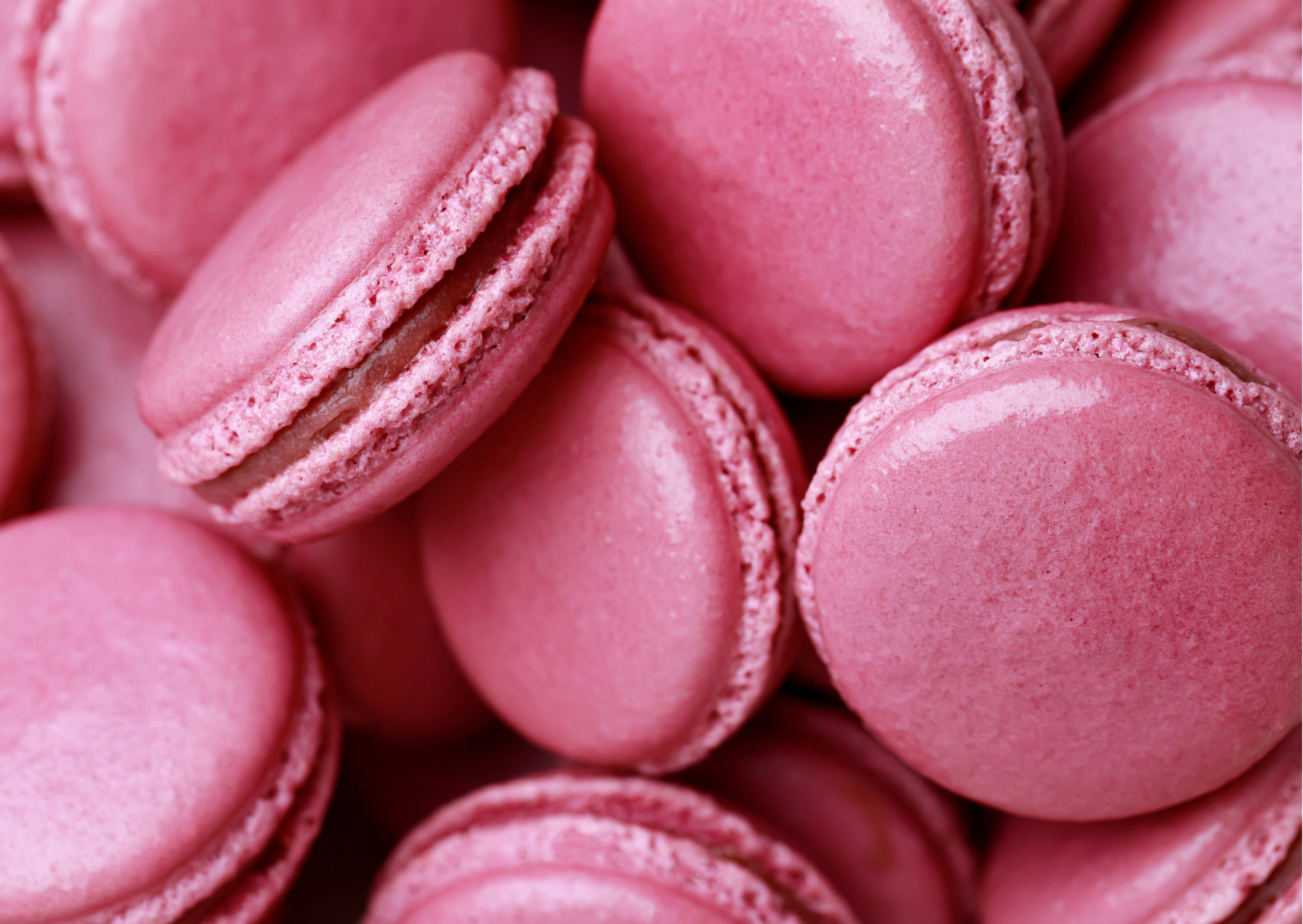 Macarons baked by female golfers. Photo: Renate Roeleveld.