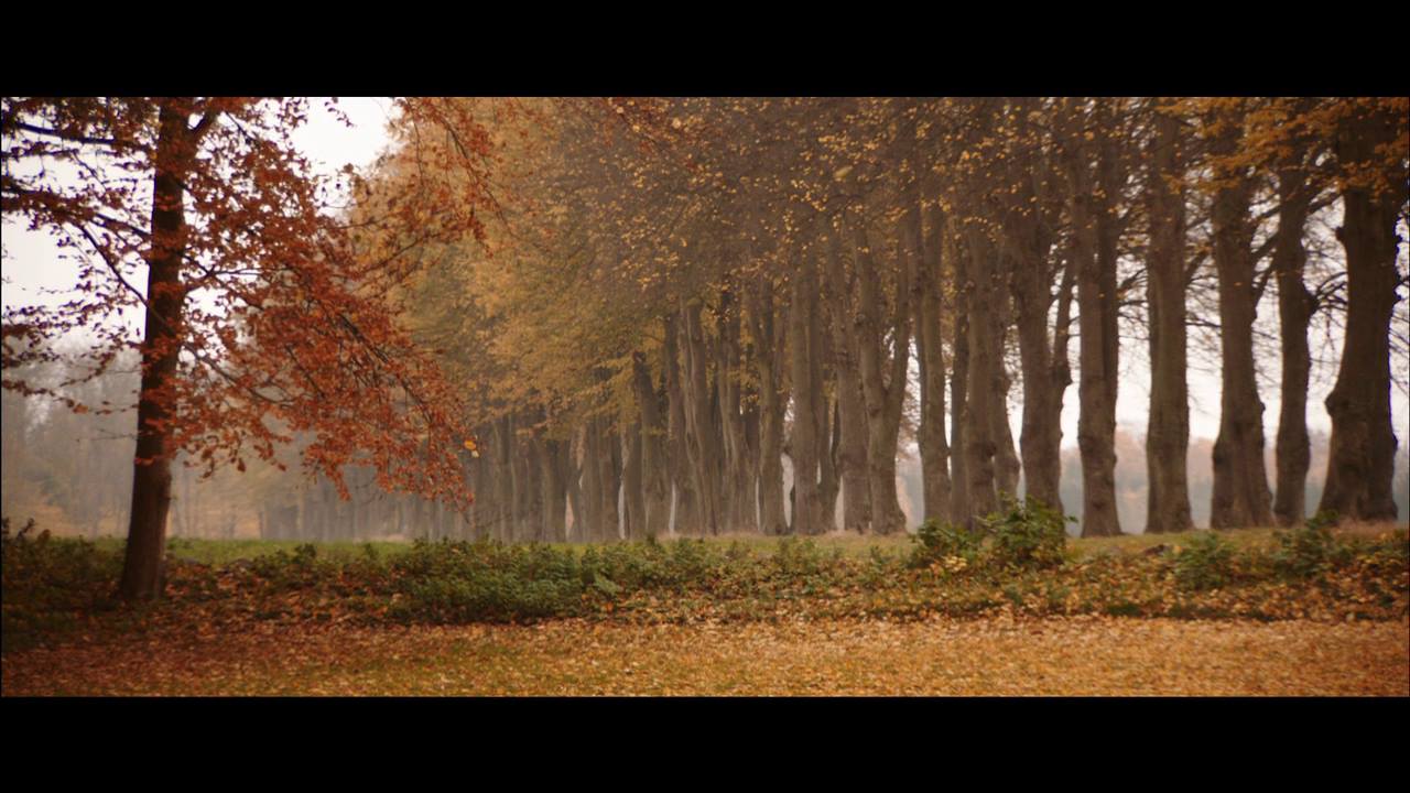 Καρέ: Thomas Vinterberg, Jagten (2012) (3/3)