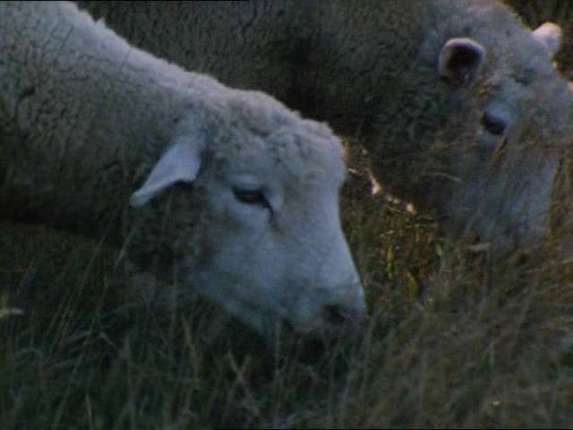 Καρέ: Eric Rohmer, L'arbre, le maire et la mediatheque (1993) (1/2)