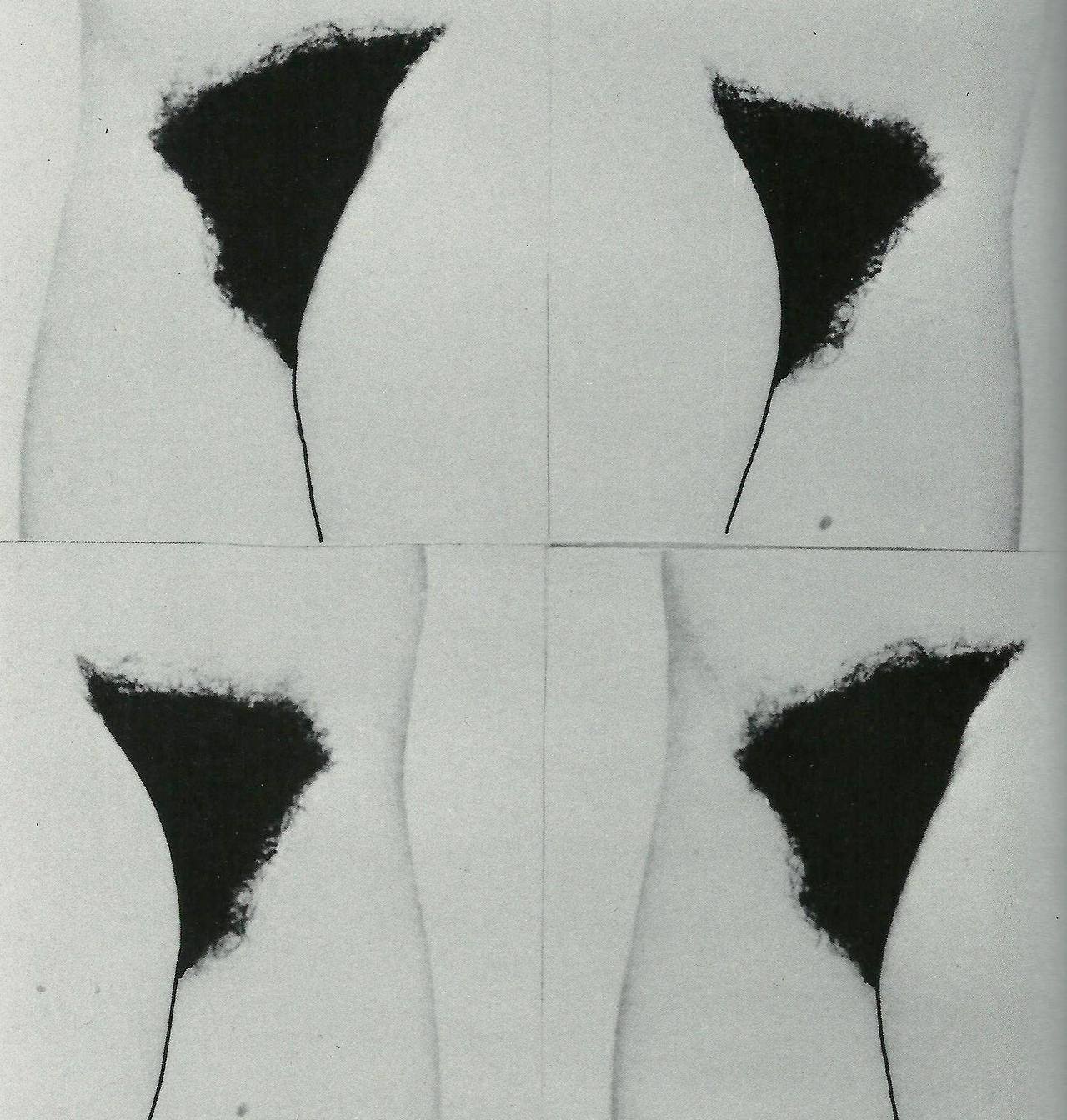 Friederike Pezold, Schamwerk Nr. 3 [Pubic Work No. 3] (1974)