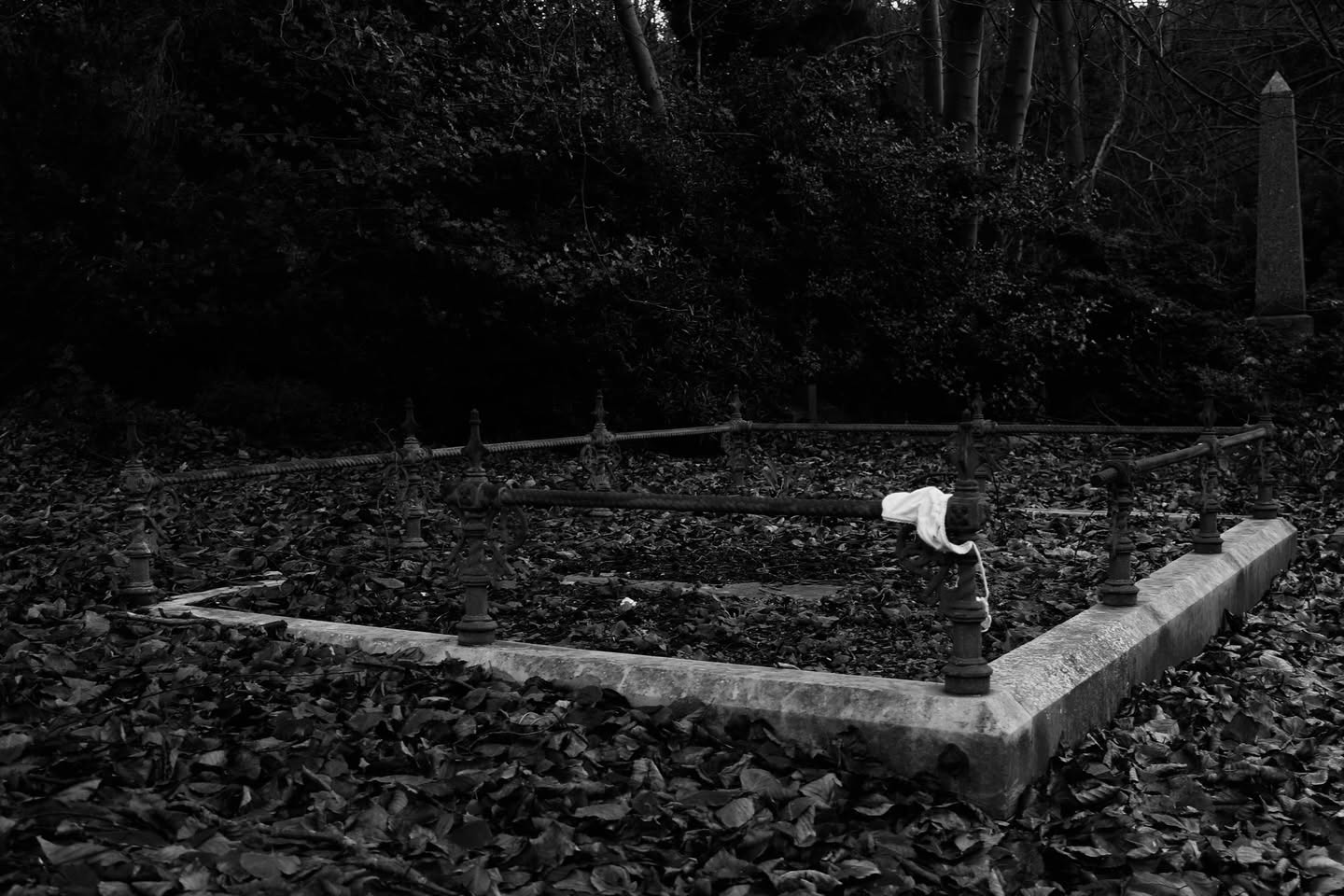 Ioannis Tsirkas, Flimsy Doldrums (2013)