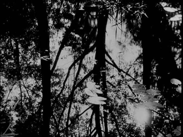 Καρέ: Aleksandr Dovzhenko, Zvenigora (1928) (1/2)