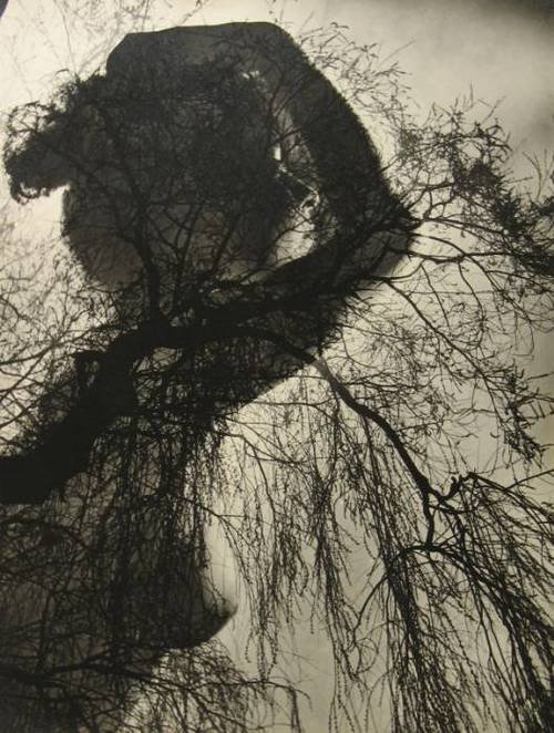 Miroslav Hak, Early Spring (1942)