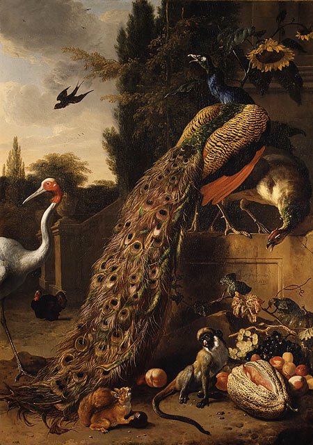 Melchior d’Hondecoeter, Peacocks (1683)