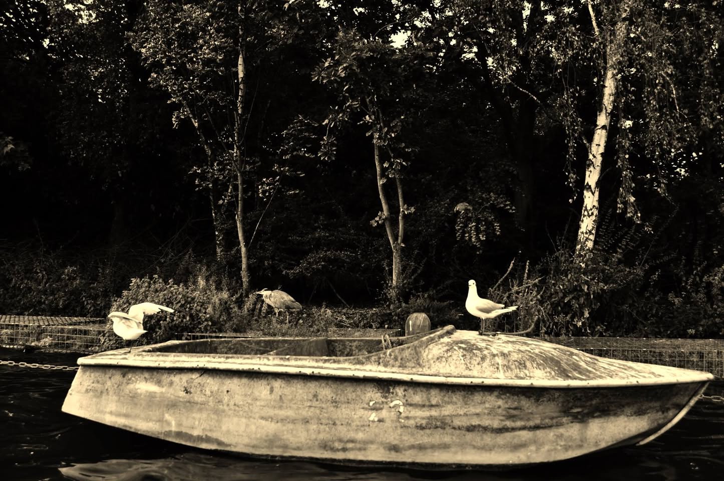 Ioannis Tsirkas, Fading Memory of the Sea (2014)