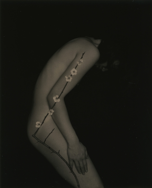Masao Yamamoto, Nakazora: #1160