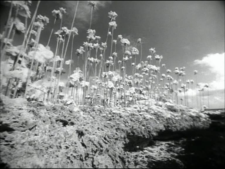 Καρέ: Mikhail Kalatozov, Soy Cuba (1964) (1/2)