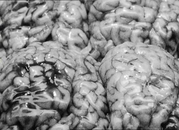 Καρέ: Agnès Varda, L'opéra-mouffe (1958)