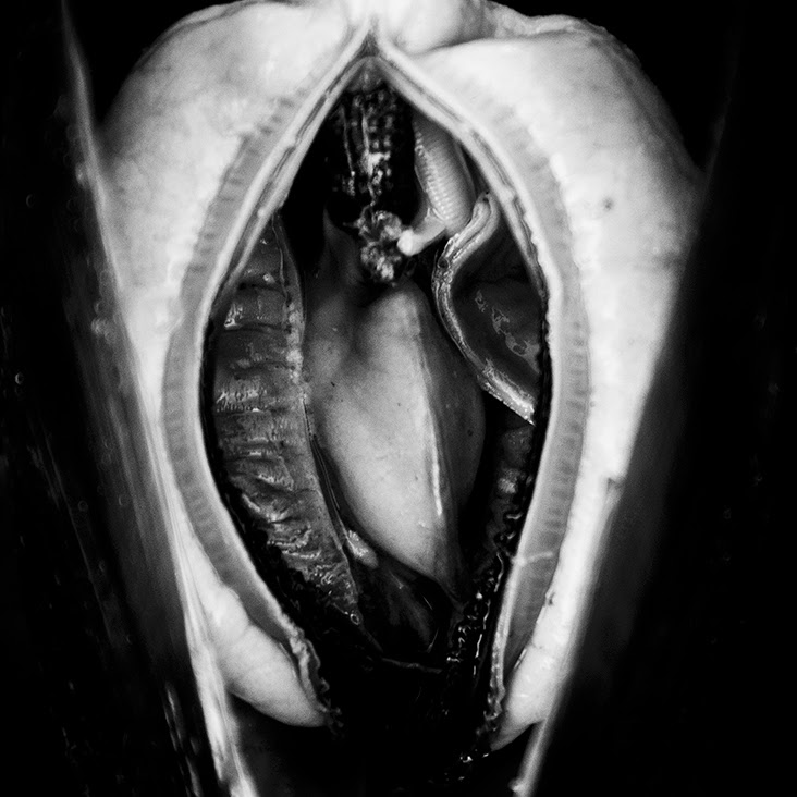 Bang Sanghyeok, Untitled