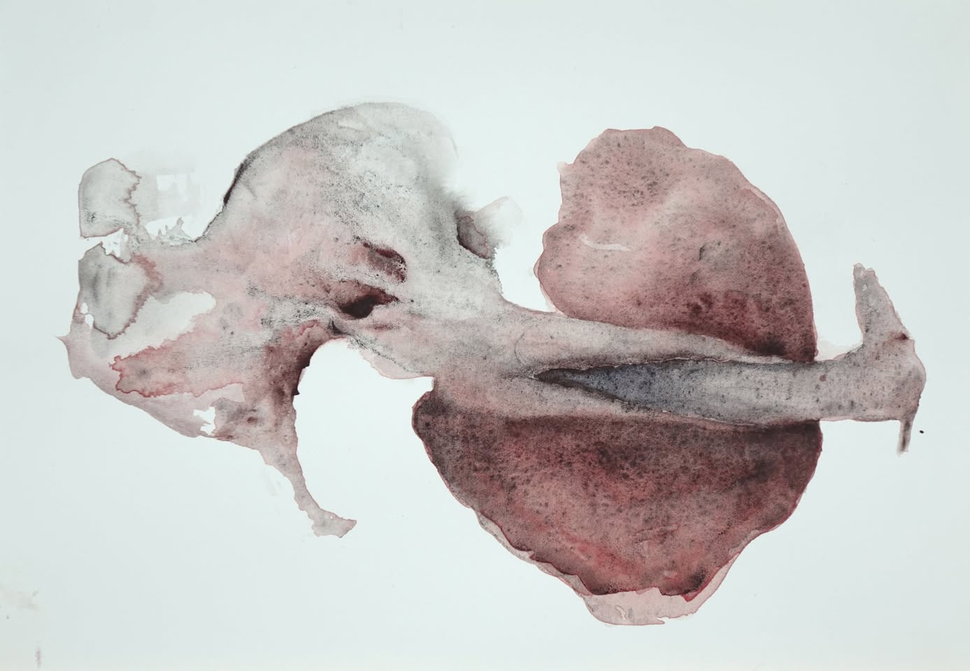 Kate Walters, Skull with Birth Canal (2017)