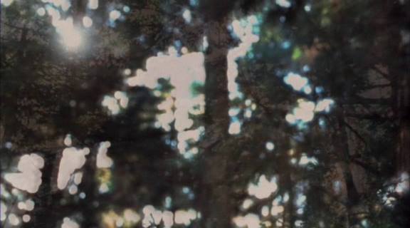 Καρέ: Katsuhito Ishii, Samehada otoko to momojiri onna (1988) (2/2)