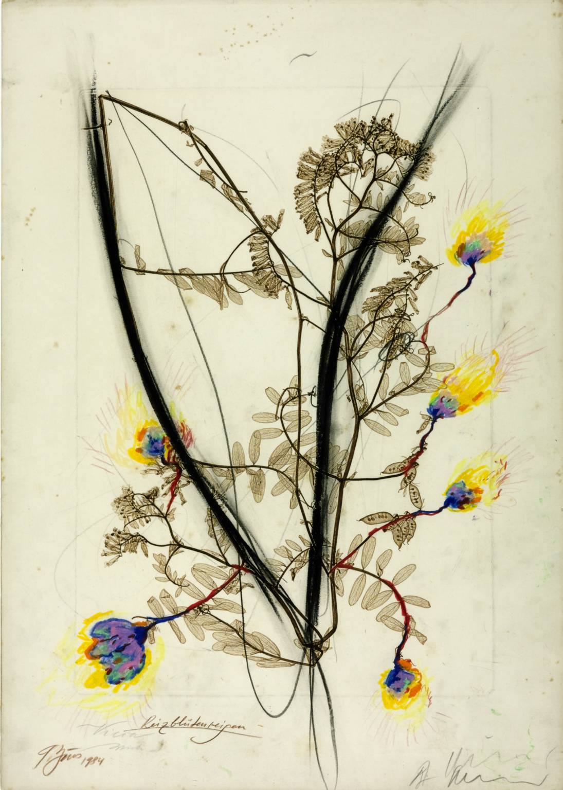 Günter Brus & Arnulf Rainer, Reizblütenreigen [Charm - Flower - Ring] (1984)