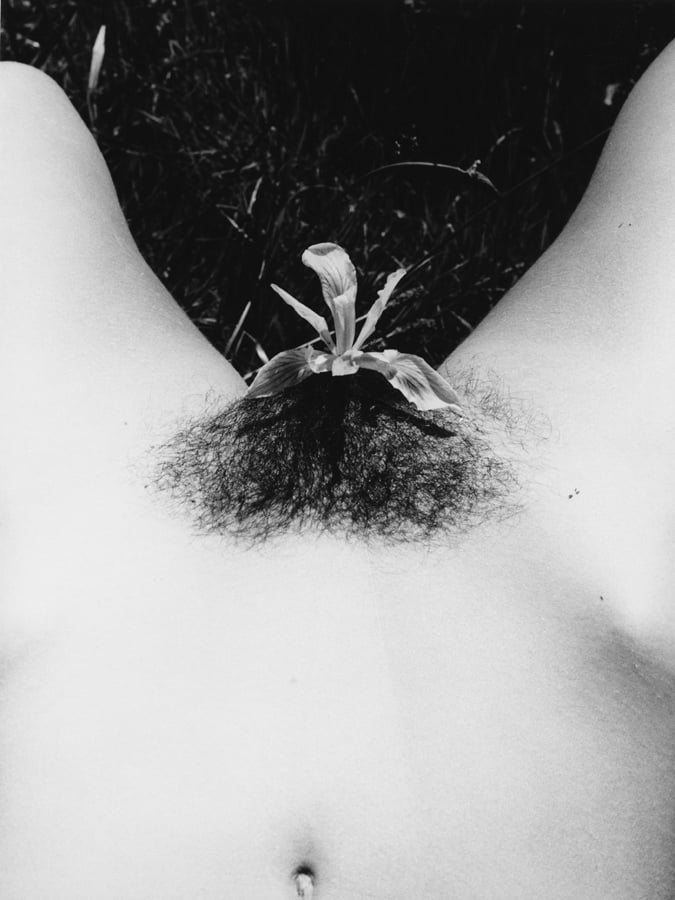 Walter Chappell, Senza Titolo (1973)