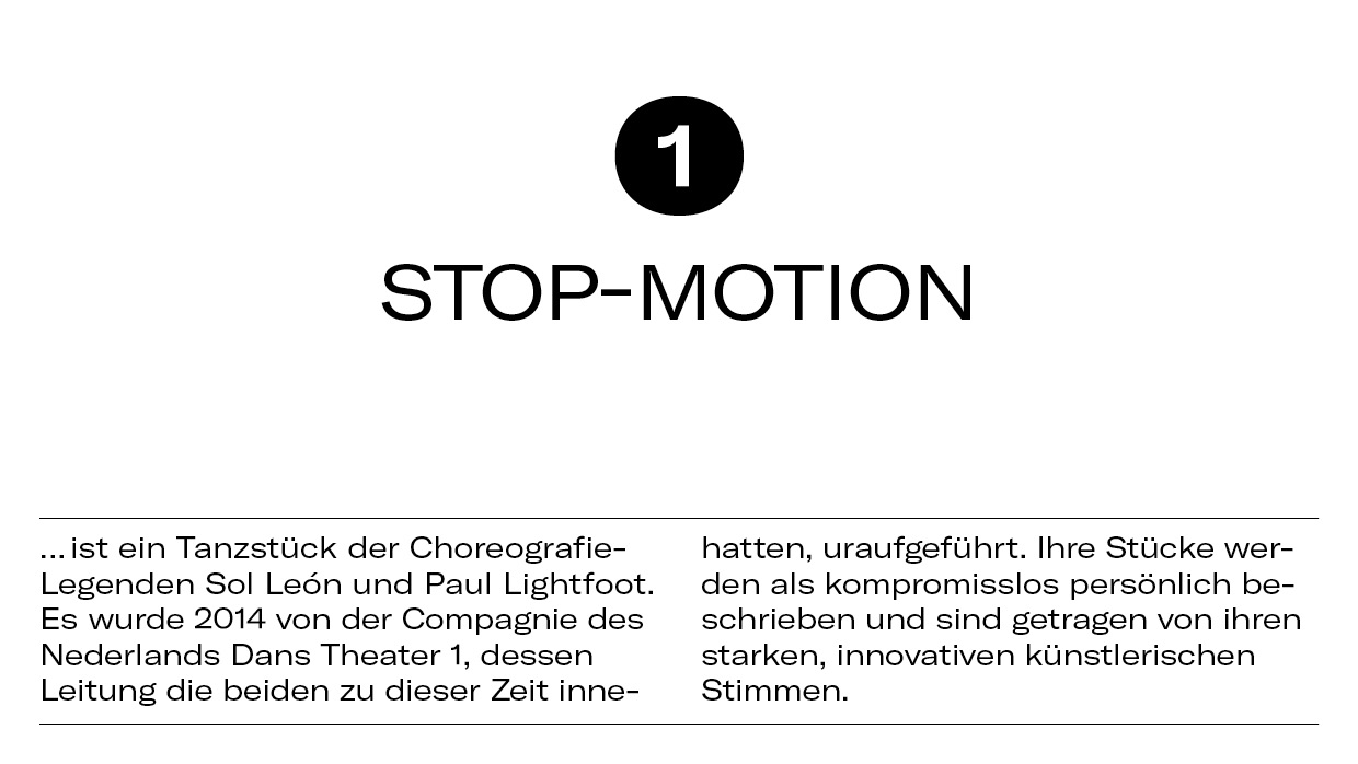 10 Dinge Stop-Motion4
