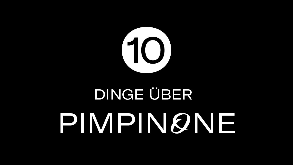 10 Dinge Pimpinone1