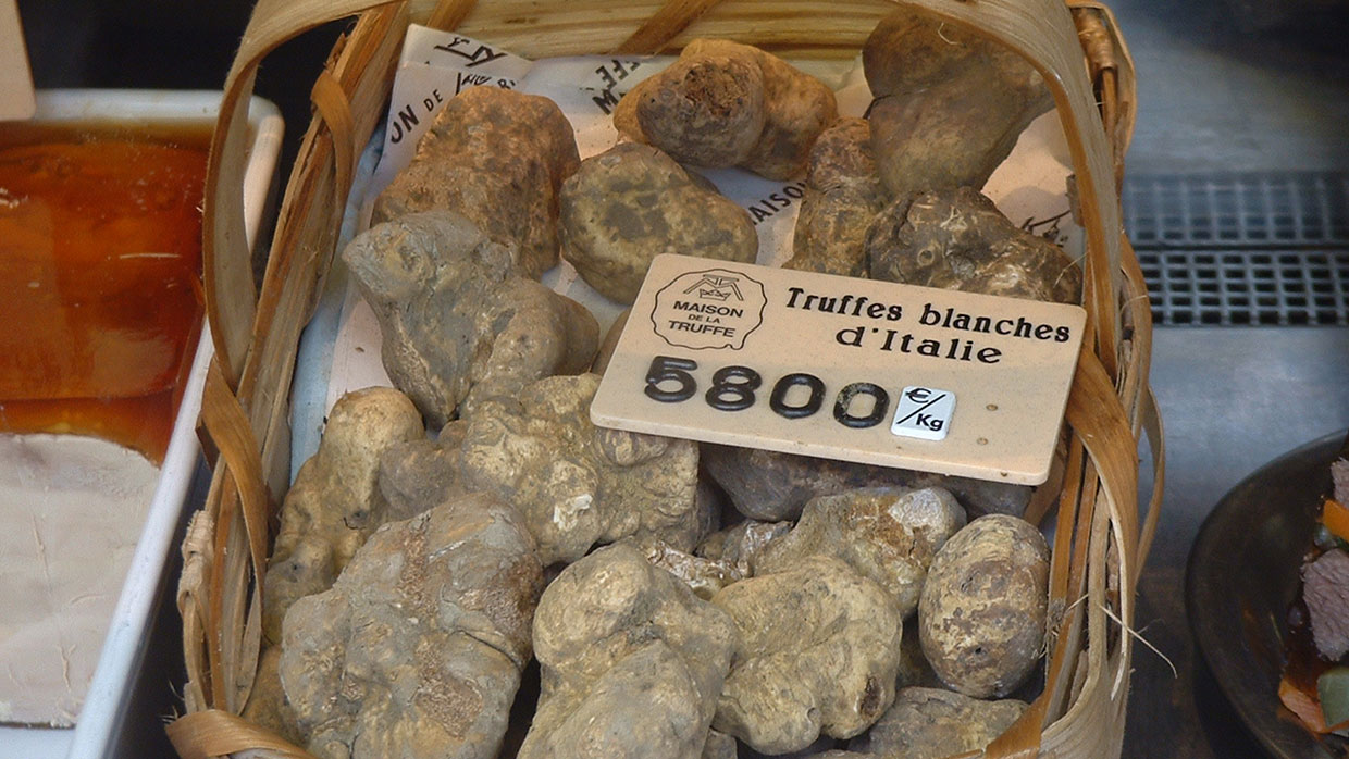 Truffels 5800 Euro kg von Piano Piano!. Wikimedia Commons, CC-BY-SA