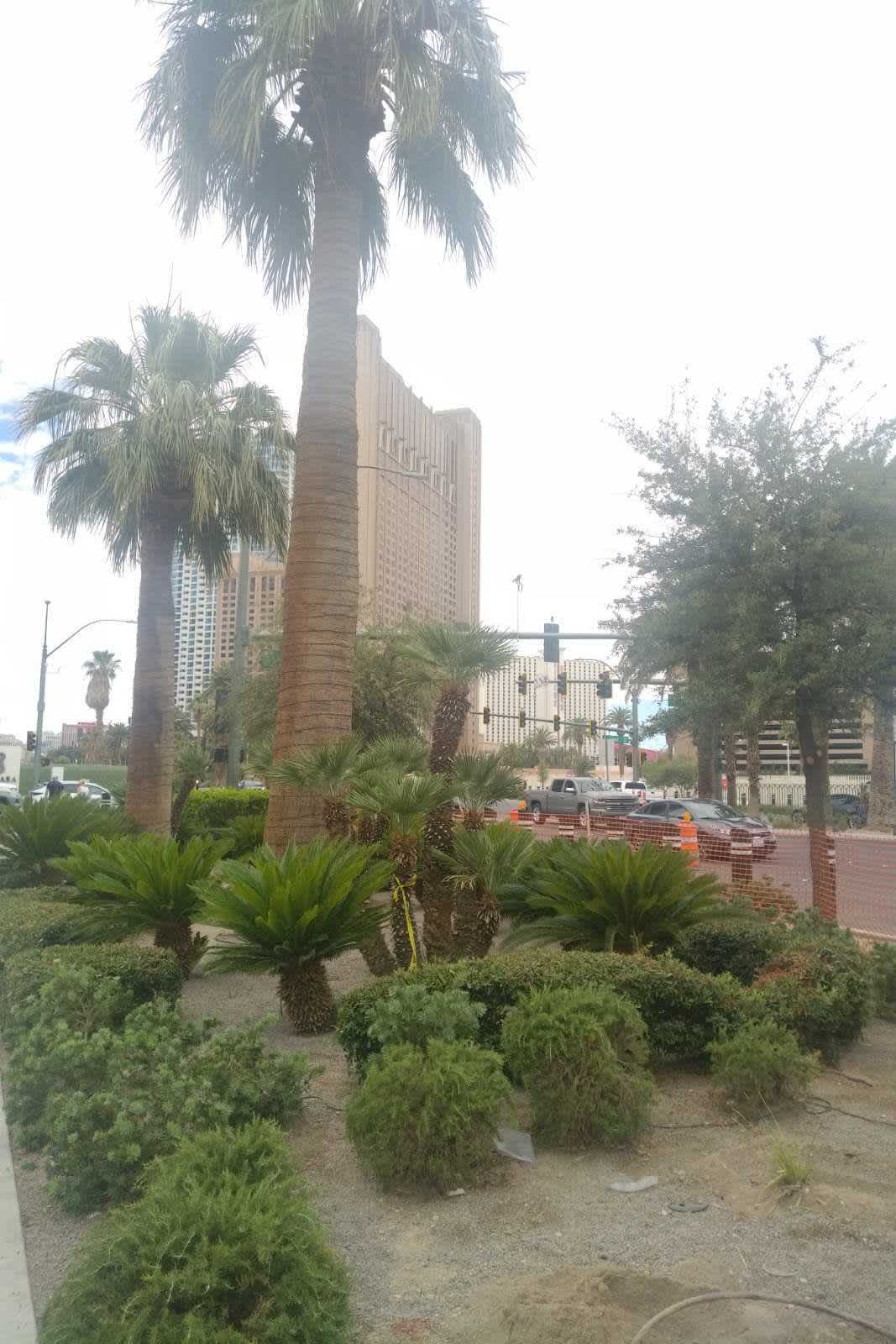 Las Vegas Las Vegas