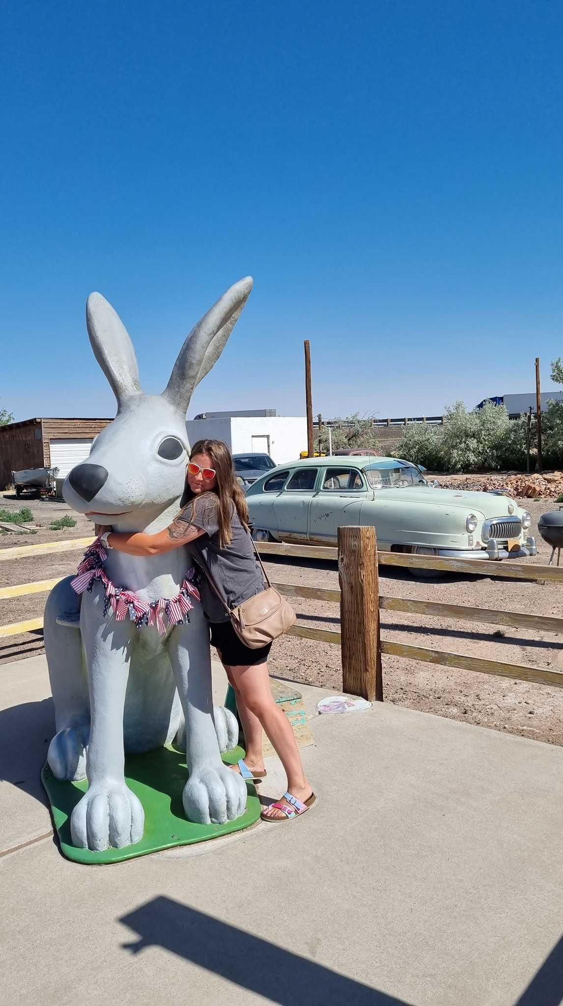Spotkanie z rabbitem na trasie route 66 Spotkanie z rabbitem na trasie route 66