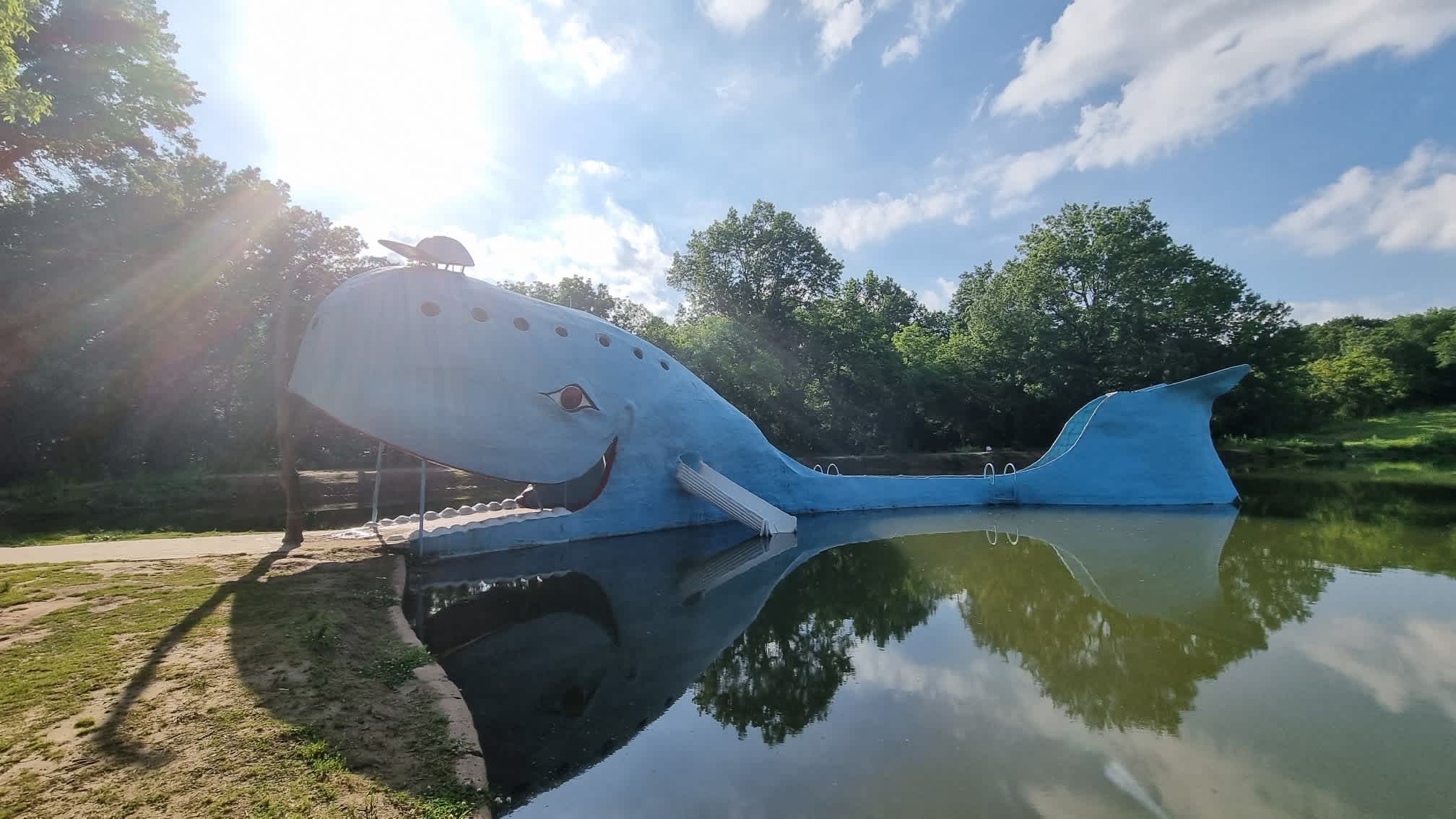Blue Whale Catoosa - miłość ma różne oblicza