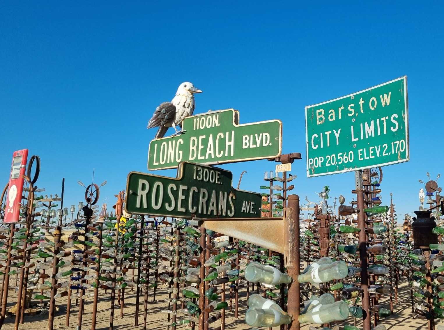 Bottle tree ranch