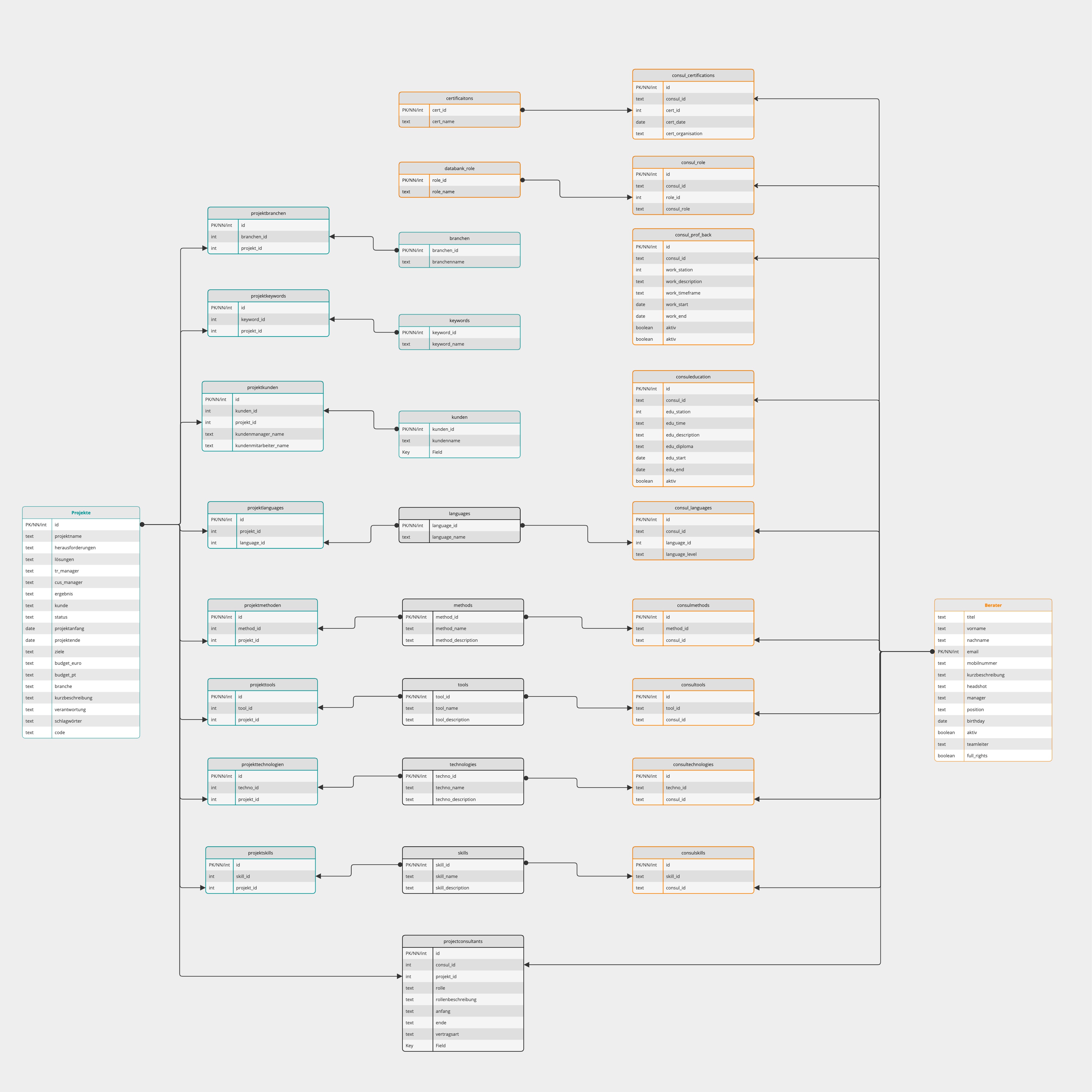 Datenbank Projektprofile, Beraterprofile