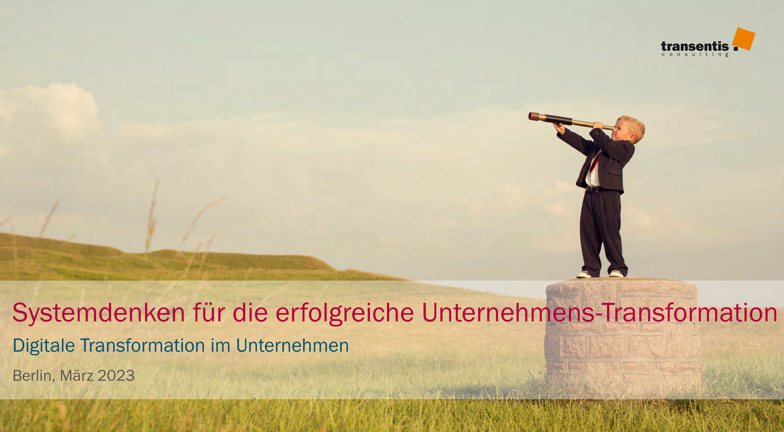 Systemdenken und Transformation (PDF)