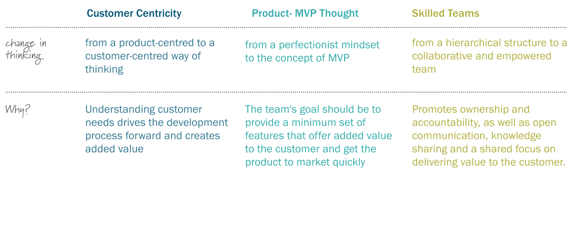 Customer Centricity, MVP, Teams