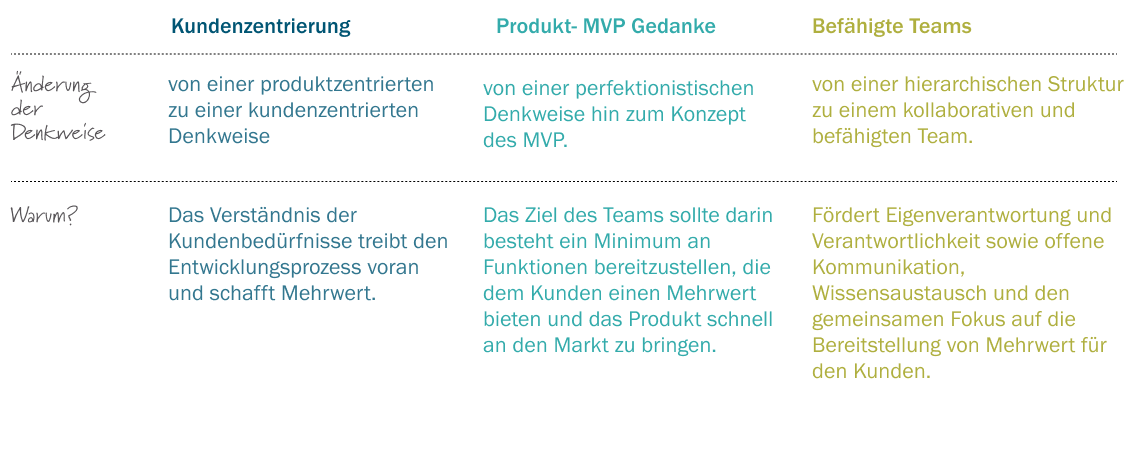 Kundenzentrierung, MVP, Teams