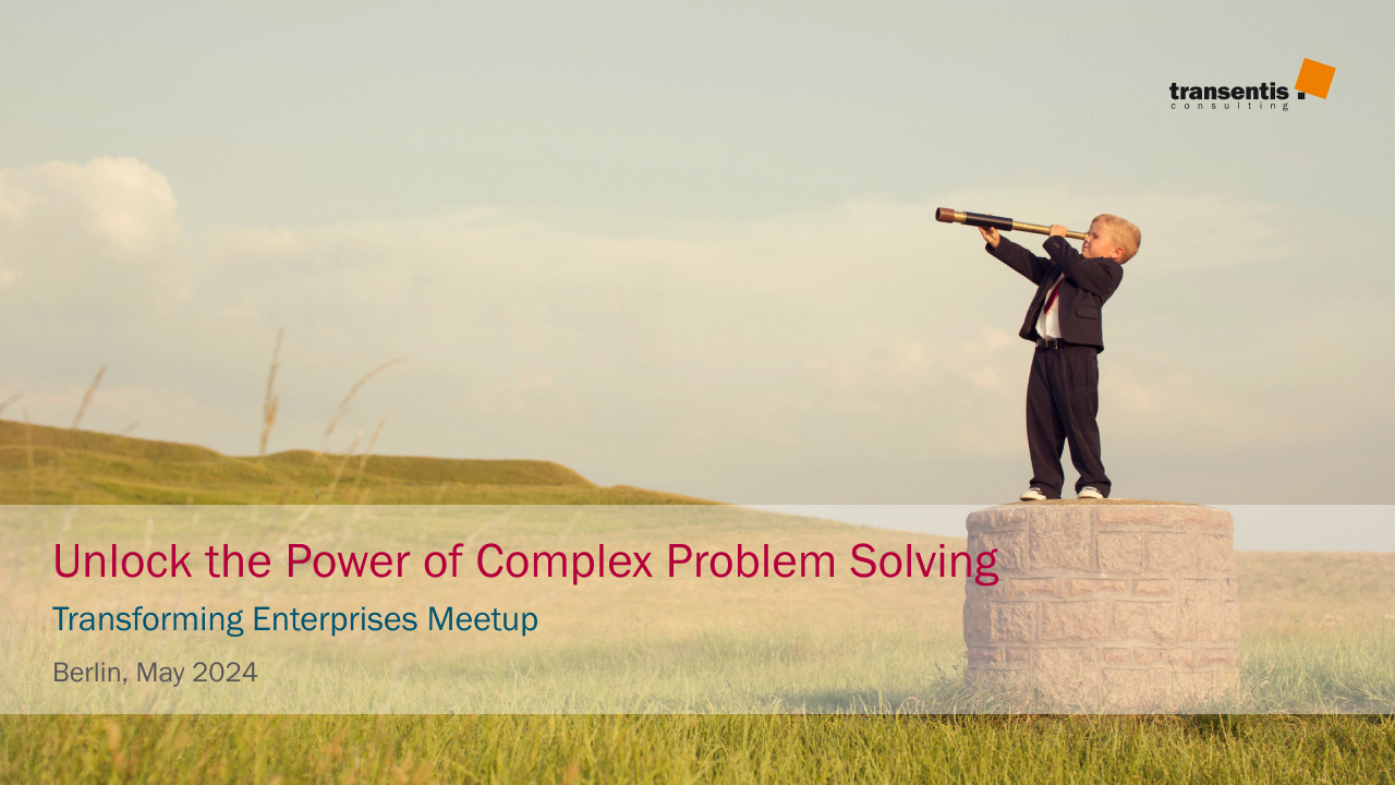 Komplexe Probleme einfach lösen (PDF)