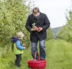 gardening-with-toddlers