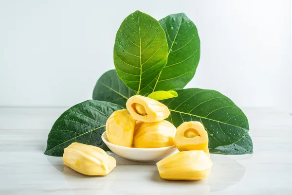 Is Jackfruit Good For You? Benefits, Taste & How to Eat Jackfruit - Hero image