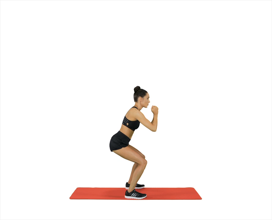 Half Squat - Low Impact Exercise - Sweat