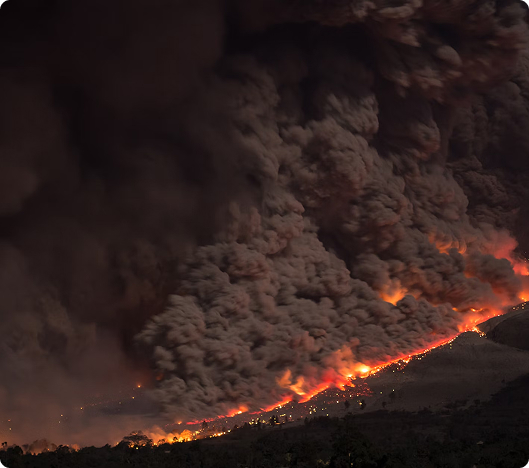 Disaster Relief Disbursements