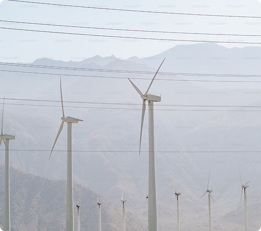 Utility & Energy Subsidies
