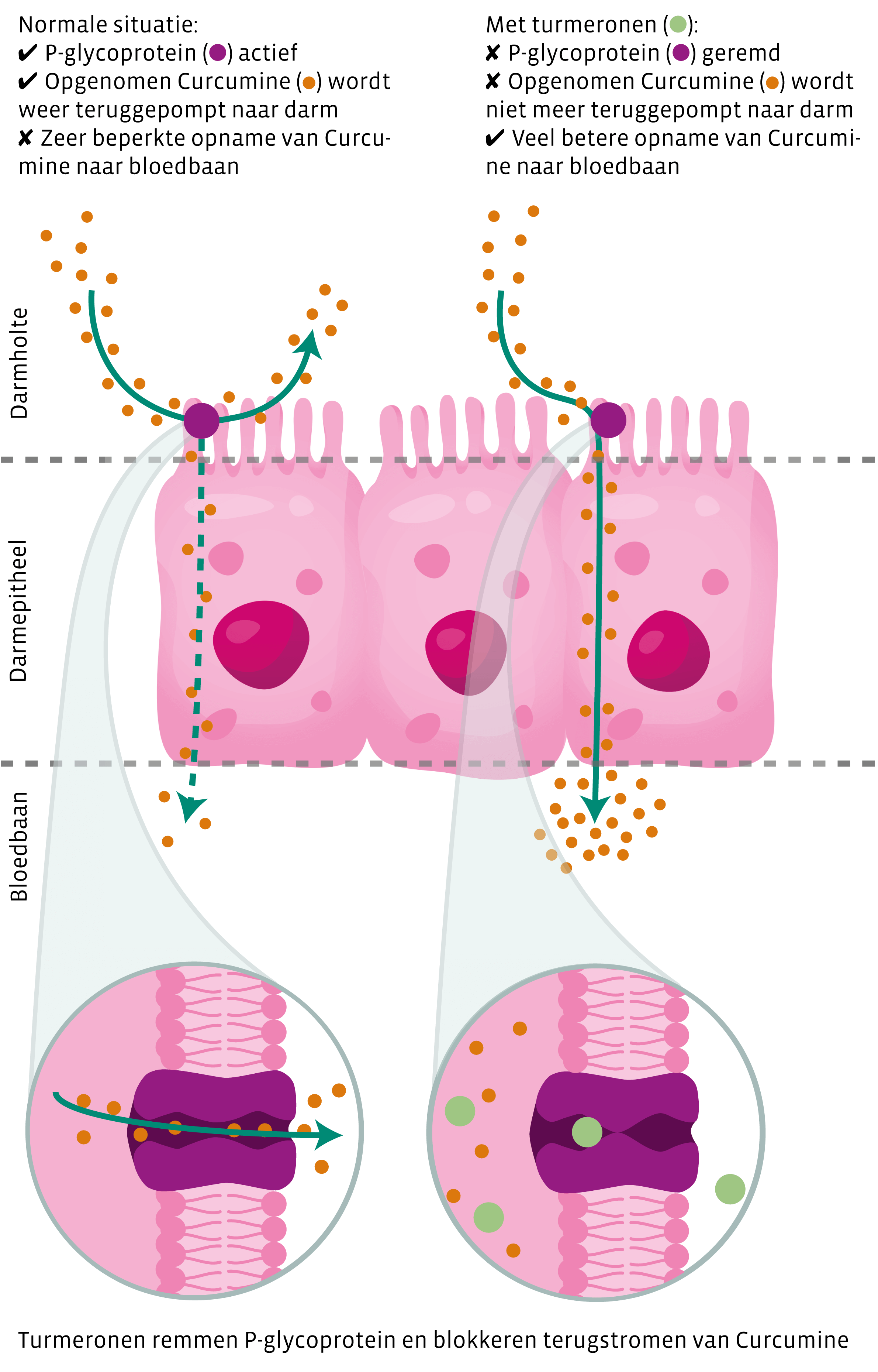 Knowledge Advice Image left side