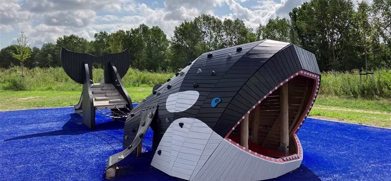 aangepaste orka natuurspeeltuin sculptuur