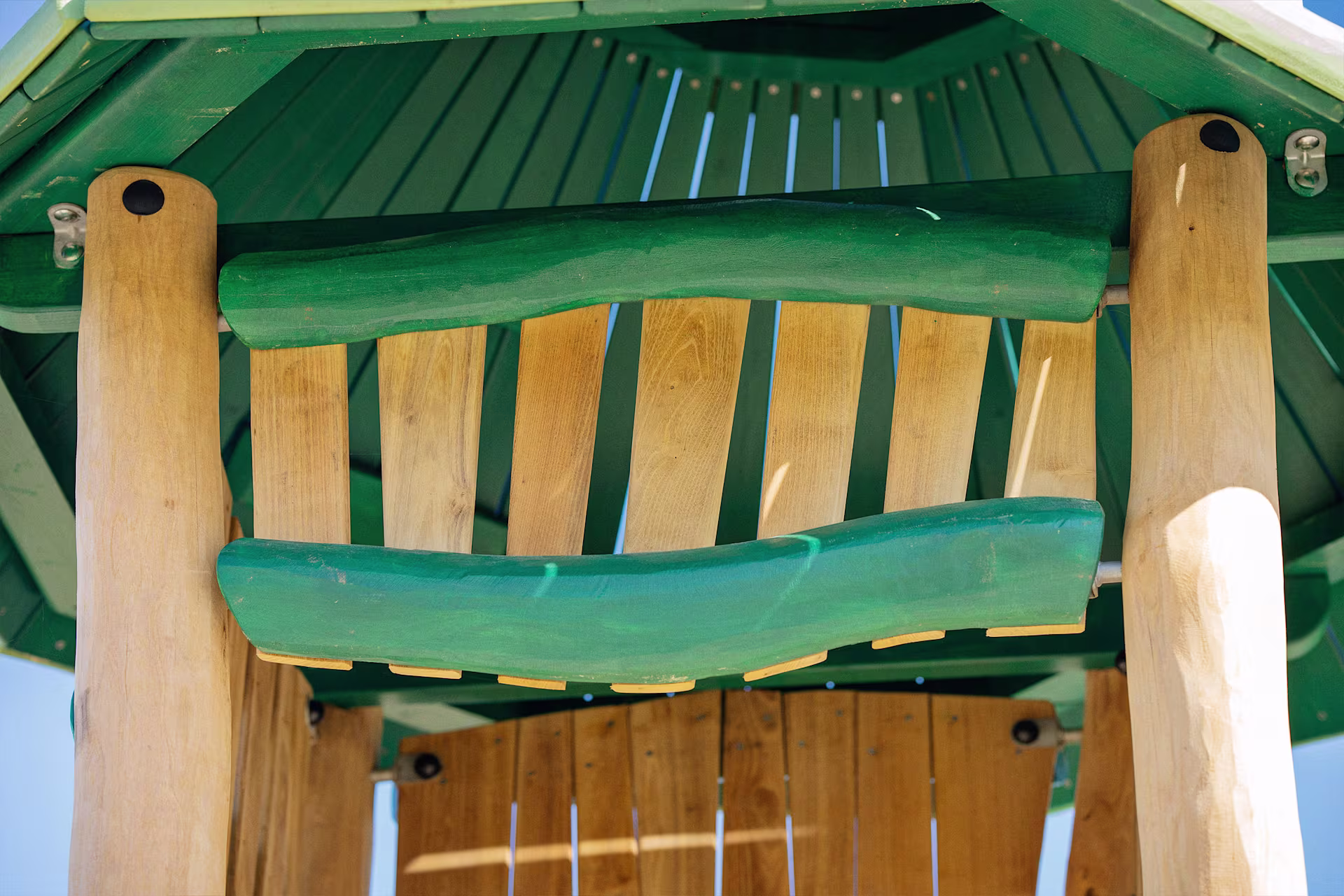 Robinia-fantasy-shaped-by-nature