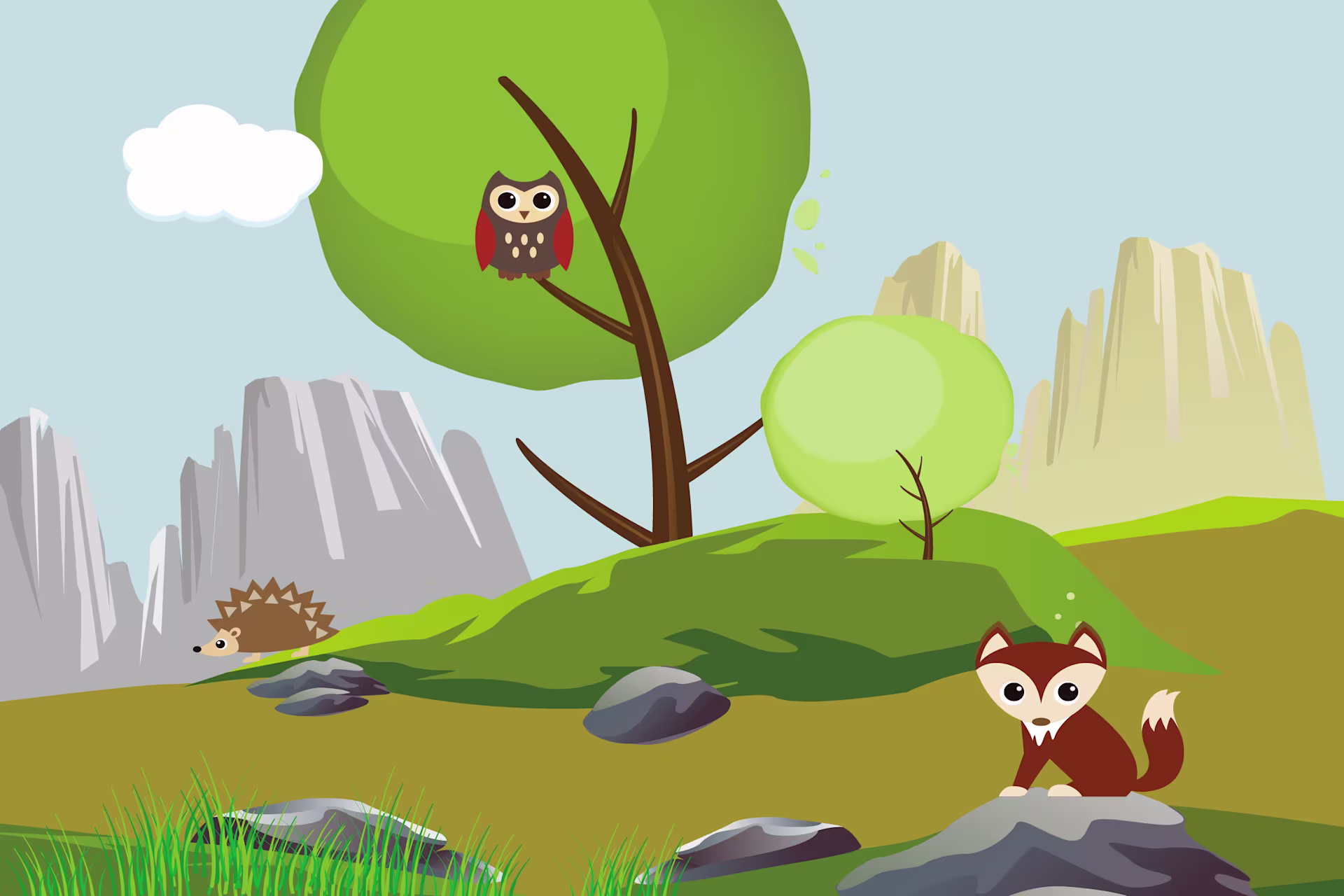 KCS outdoor theme nature