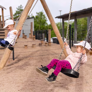 Robinia Swings Category Image
