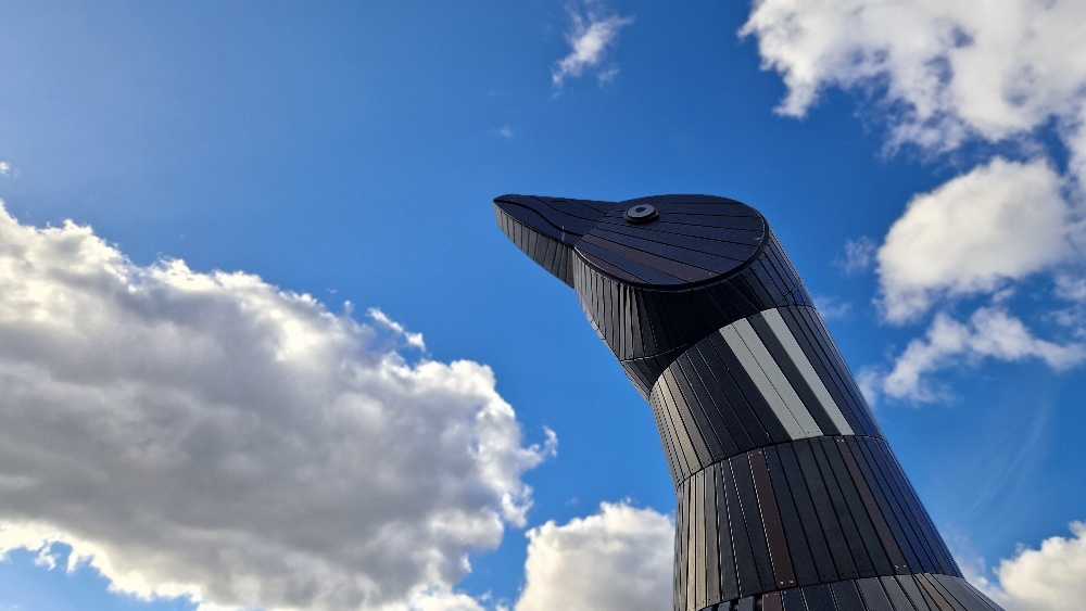 Blackrock park IE image 2