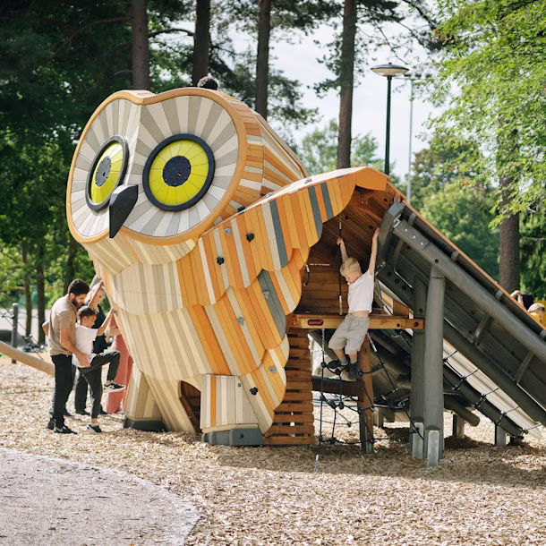 children playing on wooden playground sculpture in a forest