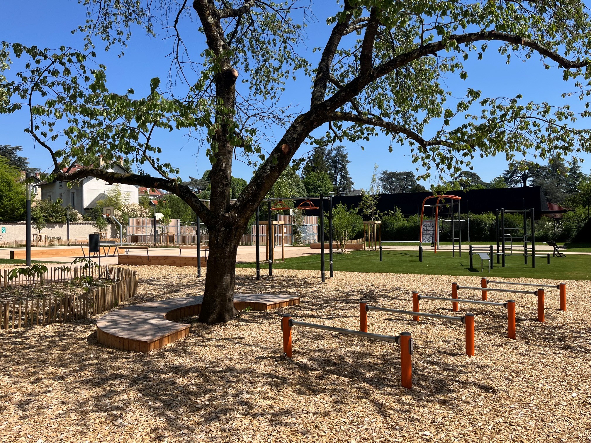 Sunny outdoor playground with a large tree, woodchip ground, fitness bars, swings, and nearby houses under a clear blue sky.