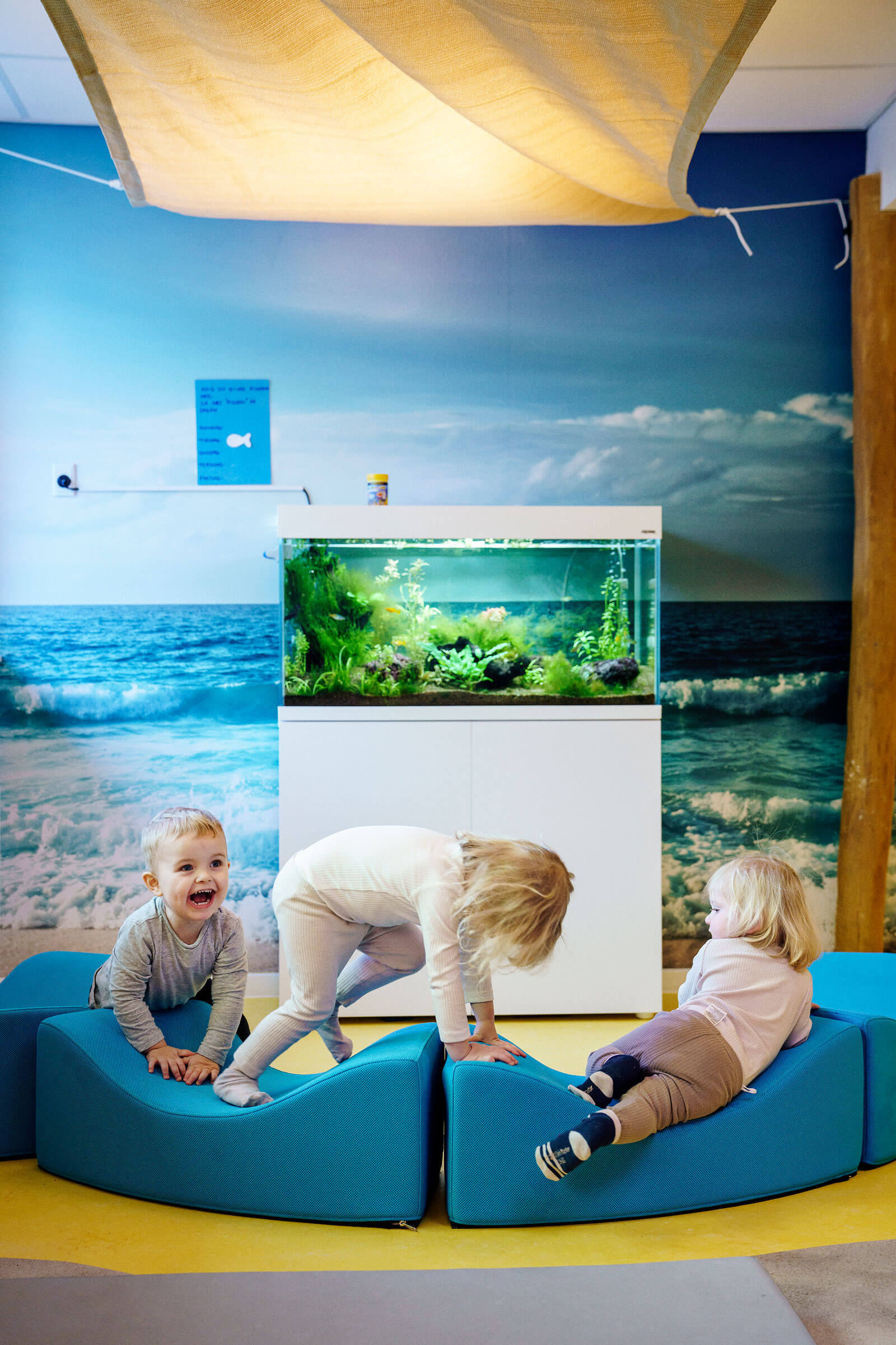 Den-grønne-planet DK-indoor image 1