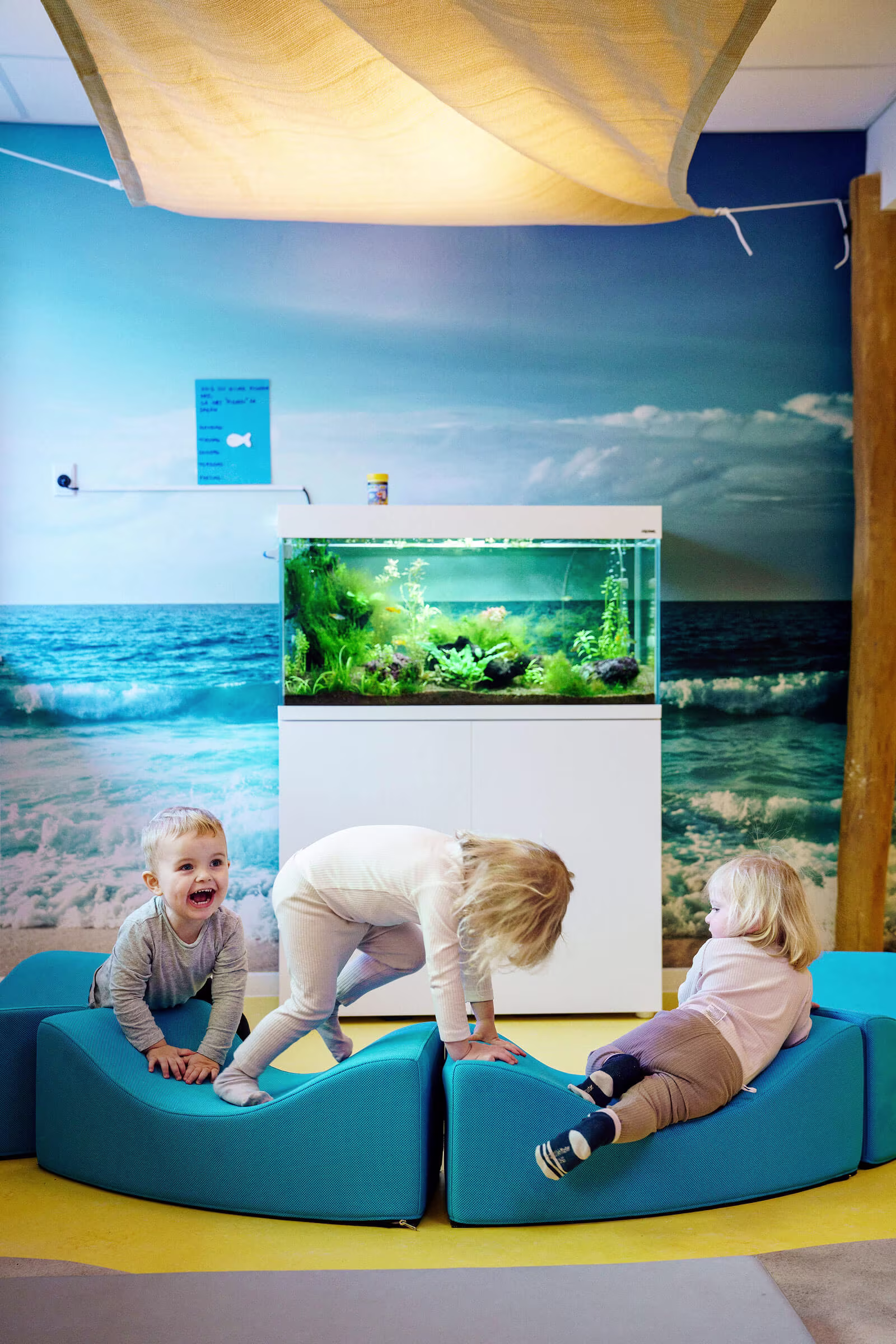 Den-grønne-planet DK-indoor image 1